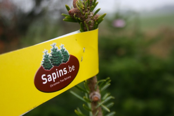 Étiquette sapins.be sur sapin naturel plantation